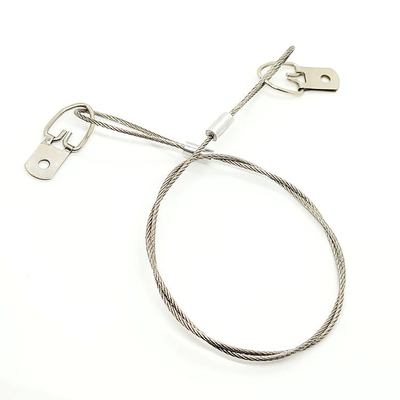 Van het de Draadroestvrije staal van de beeldhanger van de de Veiligheidskabel het Kader Hangende Draad en D-vormige ringen